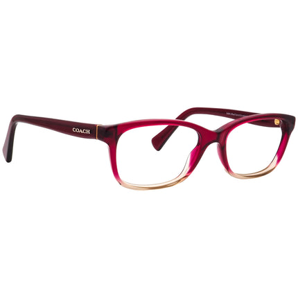 Coach HC 6089 5484  51□16 135