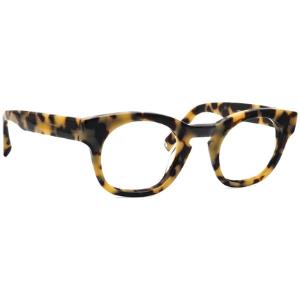 Warby Parker Kimball 195  46□25 145